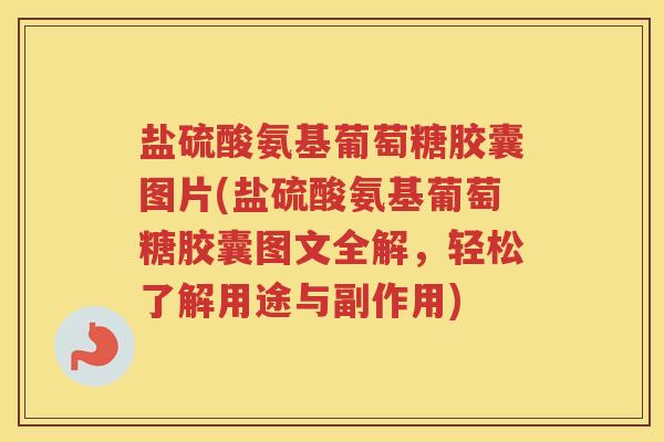 盐硫酸氨基葡萄糖胶囊图片(盐硫酸氨基葡萄糖胶囊图文全解,轻松了解用途与副作用) 盐硫酸氨基葡萄糖胶囊图片(盐硫酸氨基葡萄糖胶囊图文全解,轻松了解用途与副作用)