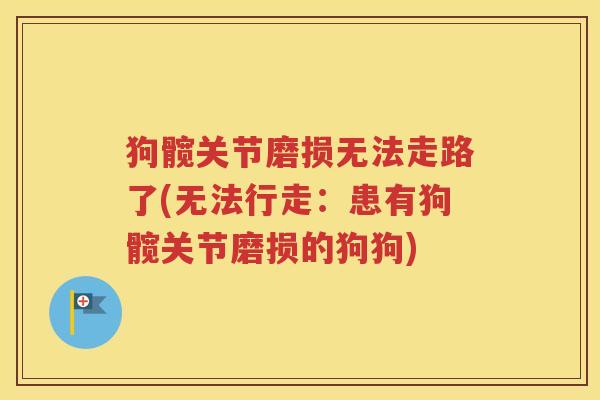 狗髋关节磨损无法走路了(无法行走:患有狗髋关节磨损的狗狗) 狗髋关节磨损无法走路了(无法行走:患有狗髋关节磨损的狗狗)