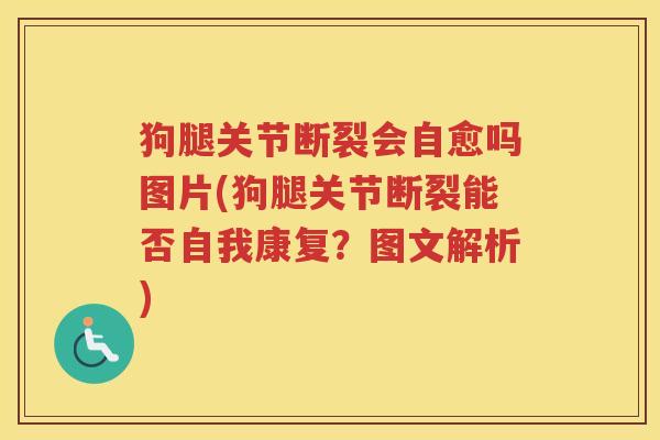 狗腿关节断裂会自愈吗图片(狗腿关节断裂能否自我康复?图文解析) 狗腿关节断裂会自愈吗图片(狗腿关节断裂能否自我康复?图文解析)