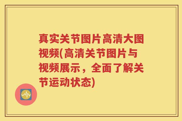 真实关节图片高清大图视频(高清关节图片与视频展示，全面了解关节运动状态)
