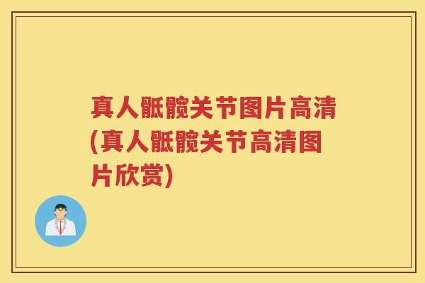真人骶髋关节图片高清(真人骶髋关节高清图片欣赏)