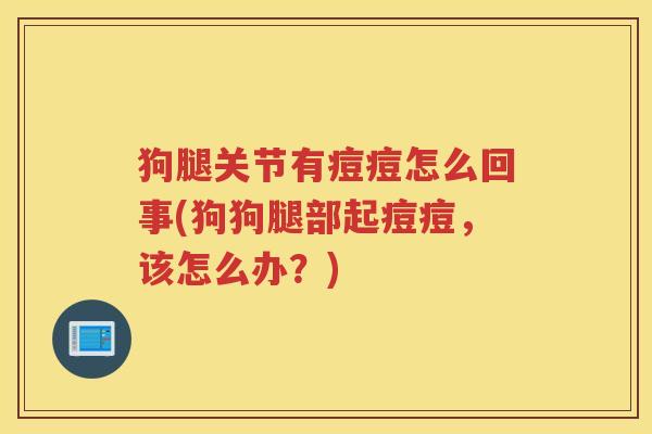 狗腿关节有痘痘怎么回事(狗狗腿部起痘痘,该怎么办?) 狗腿关节有痘痘怎么回事(狗狗腿部起痘痘,该怎么办?)