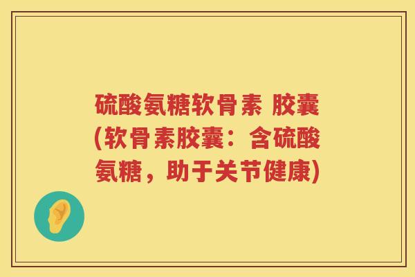 硫酸氨糖软骨素 胶囊(软骨素胶囊:含硫酸氨糖,助于关节健康) 硫酸氨糖软骨素 胶囊(软骨素胶囊:含硫酸氨糖,助于关节健康)