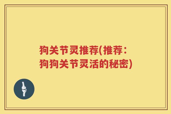狗关节灵推荐(推荐:狗狗关节灵活的秘密) 狗关节灵推荐(推荐:狗狗关节灵活的秘密)