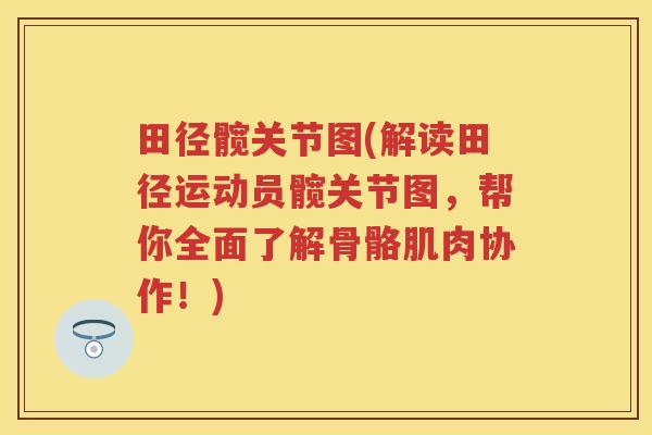 田径髋关节图(解读田径运动员髋关节图,帮你全面了解骨骼肌肉协作!) 田径髋关节图(解读田径运动员髋关节图,帮你全面了解骨骼肌肉协作!)