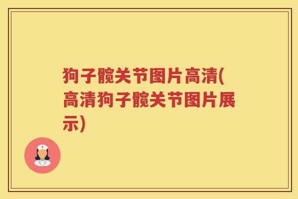 狗子髋关节图片高清(高清狗子髋关节图片展示) 狗子髋关节图片高清(高清狗子髋关节图片展示)