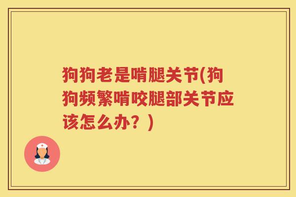 狗狗老是啃腿关节(狗狗频繁啃咬腿部关节应该怎么办?) 狗狗老是啃腿关节(狗狗频繁啃咬腿部关节应该怎么办?)
