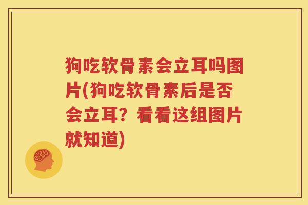 狗吃软骨素会立耳吗图片(狗吃软骨素后是否会立耳?看看这组图片就知道) 狗吃软骨素会立耳吗图片(狗吃软骨素后是否会立耳?看看这组图片就知道)