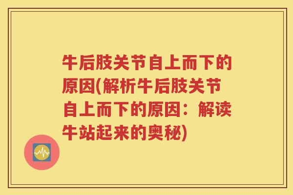 牛后肢关节自上而下的原因(解析牛后肢关节自上而下的原因:解读牛站起来的奥秘) 牛后肢关节自上而下的原因(解析牛后肢关节自上而下的原因:解读牛站起来的奥秘)