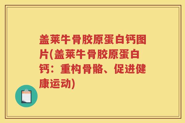 盖莱牛骨胶原蛋白钙图片(盖莱牛骨胶原蛋白钙:重构骨骼、促进健康运动) 盖莱牛骨胶原蛋白钙图片(盖莱牛骨胶原蛋白钙:重构骨骼、促进健康运动)