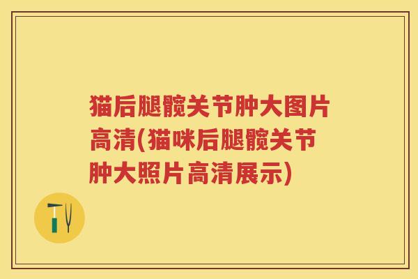 猫后腿髋关节肿大图片高清(猫咪后腿髋关节肿大照片高清展示) 猫后腿髋关节肿大图片高清(猫咪后腿髋关节肿大照片高清展示)