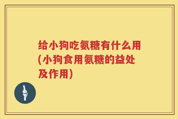 给小狗吃氨糖有什么用(小狗食用氨糖的益处及作用) 给小狗吃氨糖有什么用(小狗食用氨糖的益处及作用)