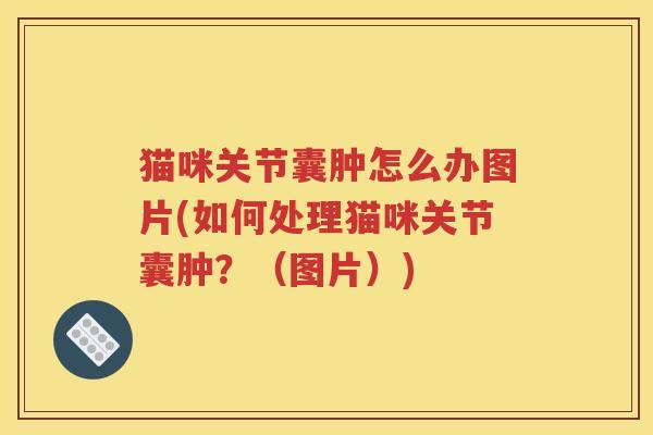猫咪关节囊肿怎么办图片(如何处理猫咪关节囊肿?(图片)) 猫咪关节囊肿怎么办图片(如何处理猫咪关节囊肿?(图片))