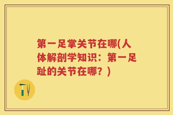 第一足掌关节在哪(人体解剖学知识：第一足趾的关节在哪？)