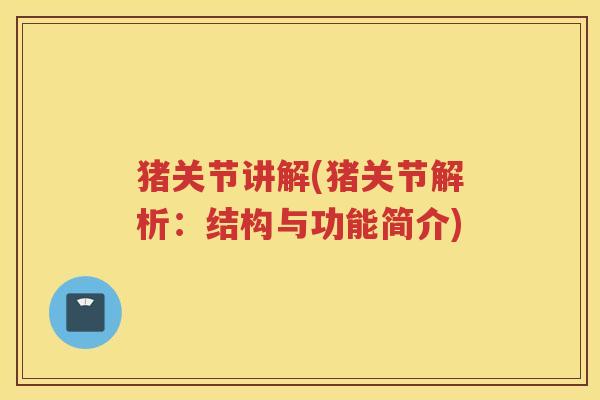 猪关节讲解(猪关节解析：结构与功能简介)