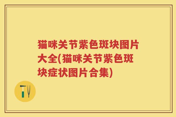 猫咪关节紫色斑块图片大全(猫咪关节紫色斑块症状图片合集)