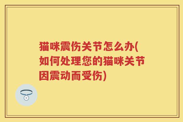 猫咪震伤关节怎么办(如何处理您的猫咪关节因震动而受伤) 猫咪震伤关节怎么办(如何处理您的猫咪关节因震动而受伤)