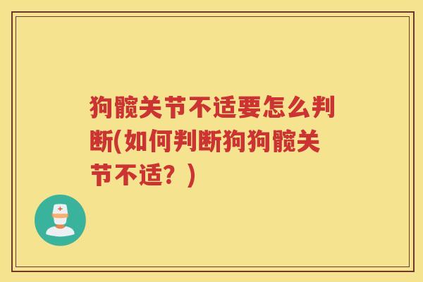 狗髋关节不适要怎么判断(如何判断狗狗髋关节不适?) 狗髋关节不适要怎么判断(如何判断狗狗髋关节不适?)