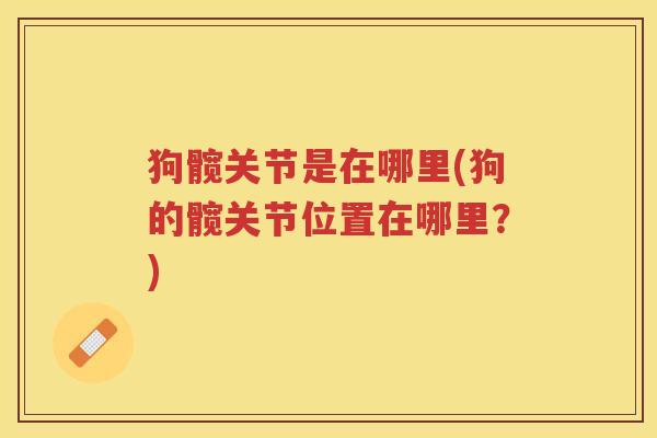狗髋关节是在哪里(狗的髋关节位置在哪里?) 狗髋关节是在哪里(狗的髋关节位置在哪里?)