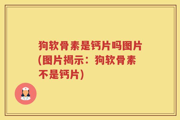 狗软骨素是钙片吗图片(图片揭示:狗软骨素不是钙片) 狗软骨素是钙片吗图片(图片揭示:狗软骨素不是钙片)