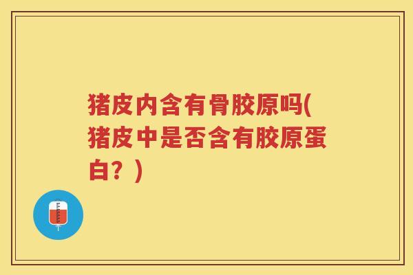 猪皮内含有骨胶原吗(猪皮中是否含有胶原蛋白?) 猪皮内含有骨胶原吗(猪皮中是否含有胶原蛋白?)