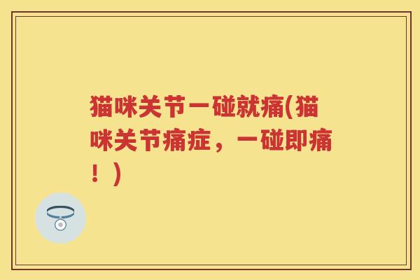 猫咪关节一碰就痛(猫咪关节痛症，一碰即痛！)