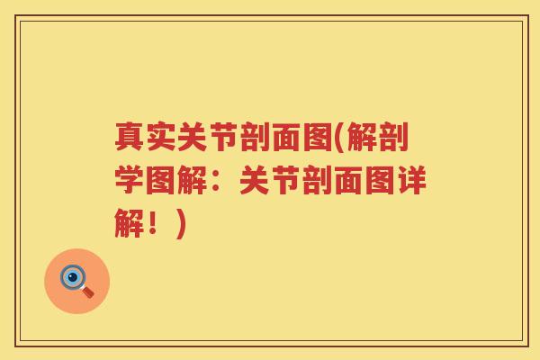 真实关节剖面图(解剖学图解:关节剖面图详解!) 真实关节剖面图(解剖学图解:关节剖面图详解!)