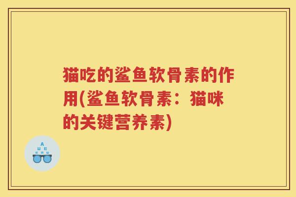 猫吃的鲨鱼软骨素的作用(鲨鱼软骨素：猫咪的关键营养素)