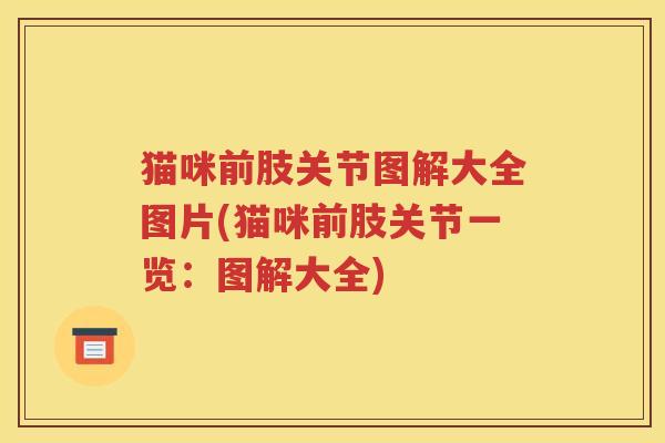 猫咪前肢关节图解大全图片(猫咪前肢关节一览:图解大全) 猫咪前肢关节图解大全图片(猫咪前肢关节一览:图解大全)