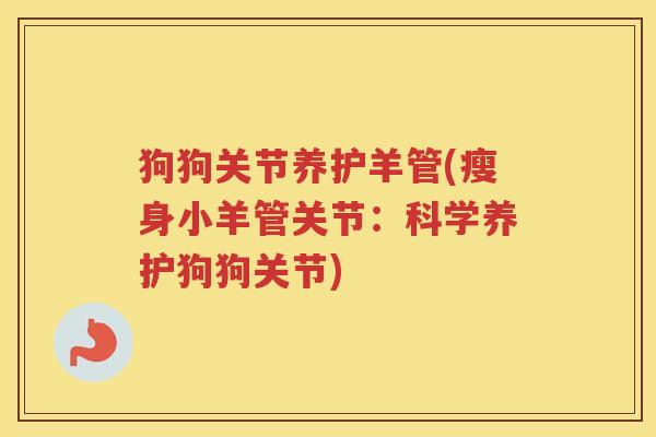 狗狗关节养护羊管(瘦身小羊管关节:科学养护狗狗关节) 狗狗关节养护羊管(瘦身小羊管关节:科学养护狗狗关节)