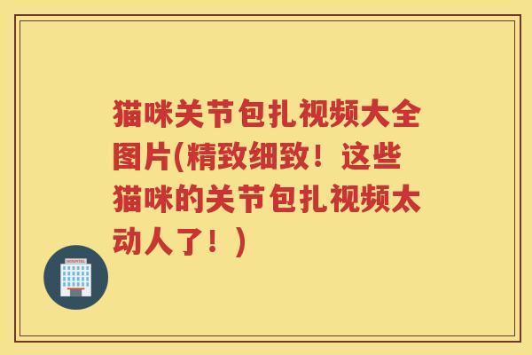 猫咪关节包扎视频大全图片(精致细致!这些猫咪的关节包扎视频太动人了!) 猫咪关节包扎视频大全图片(精致细致!这些猫咪的关节包扎视频太动人了!)