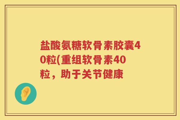 盐酸氨糖软骨素胶囊40粒(重组软骨素40粒,助于关节健康 盐酸氨糖软骨素胶囊40粒(重组软骨素40粒,助于关节健康