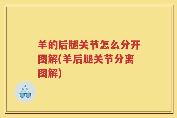 羊的后腿关节怎么分开图解(羊后腿关节分离图解) 羊的后腿关节怎么分开图解(羊后腿关节分离图解)