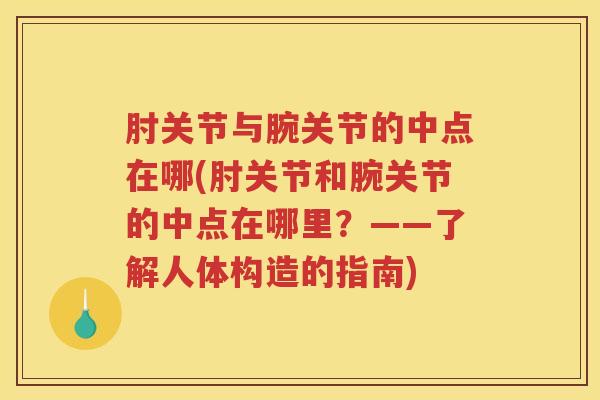 肘关节与腕关节的中点在哪(肘关节和腕关节的中点在哪里?——了解人体构造的指南) 肘关节与腕关节的中点在哪(肘关节和腕关节的中点在哪里?——了解人体构造的指南)