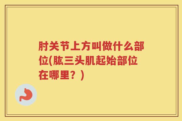 肘关节上方叫做什么部位(肱三头肌起始部位在哪里?) 肘关节上方叫做什么部位(肱三头肌起始部位在哪里?)