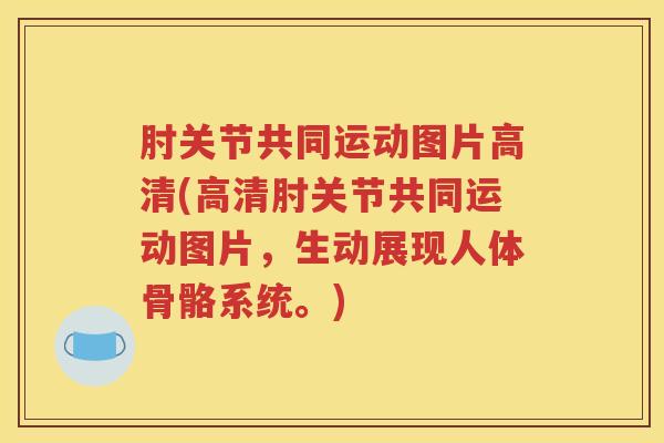 肘关节共同运动图片高清(高清肘关节共同运动图片，生动展现人体骨骼系统。)