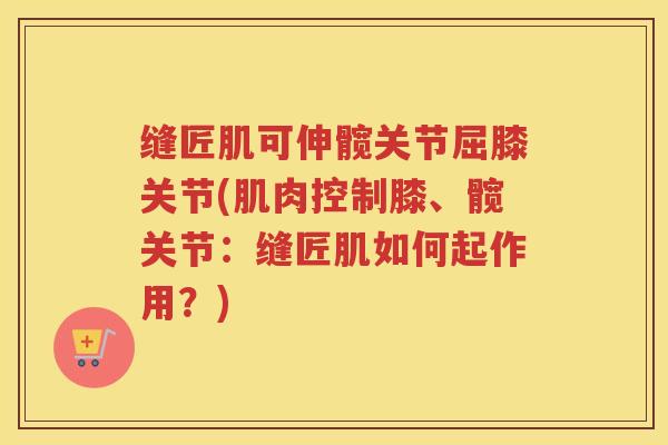 缝匠肌可伸髋关节屈膝关节(肌肉控制膝、髋关节：缝匠肌如何起作用？)