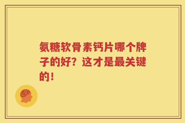 氨糖软骨素钙片哪个牌子的好?这才是关键的! 氨糖软骨素钙片哪个牌子的好?这才是关键的!