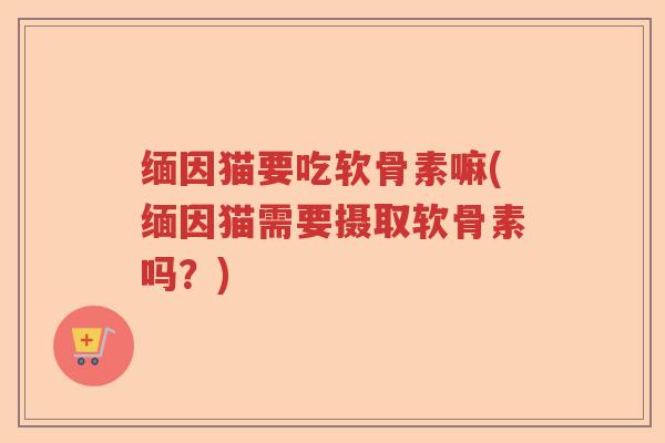缅因猫要吃软骨素嘛(缅因猫需要摄取软骨素吗?) 缅因猫要吃软骨素嘛(缅因猫需要摄取软骨素吗?)
