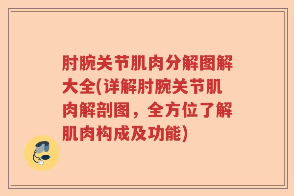 肘腕关节肌肉分解图解大全(详解肘腕关节肌肉解剖图,全方位了解肌肉构成及功能) 肘腕关节肌肉分解图解大全(详解肘腕关节肌肉解剖图,全方位了解肌肉构成及功能)