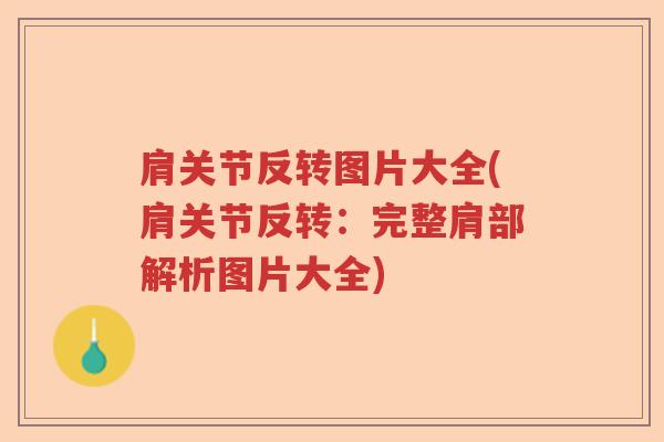 肩关节反转图片大全(肩关节反转:完整肩部解析图片大全) 肩关节反转图片大全(肩关节反转:完整肩部解析图片大全)