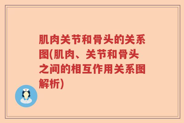 肌肉关节和骨头的关系图(肌肉、关节和骨头之间的相互作用关系图解析) 肌肉关节和骨头的关系图(肌肉、关节和骨头之间的相互作用关系图解析)