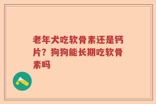 老年犬吃软骨素还是钙片?狗狗能长期吃软骨素吗 老年犬吃软骨素还是钙片?狗狗能长期吃软骨素吗