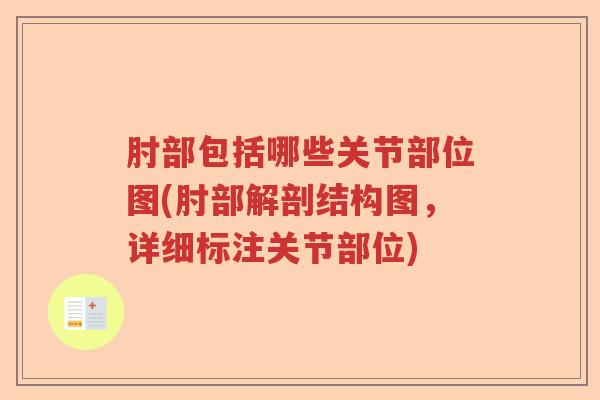 肘部包括哪些关节部位图(肘部解剖结构图，详细标注关节部位)