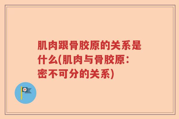 肌肉跟骨胶原的关系是什么(肌肉与骨胶原:密不可分的关系) 肌肉跟骨胶原的关系是什么(肌肉与骨胶原:密不可分的关系)