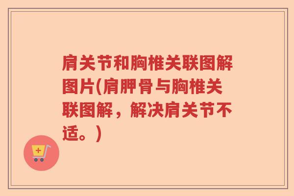 肩关节和胸椎关联图解图片(肩胛骨与胸椎关联图解,解决肩关节不适。) 肩关节和胸椎关联图解图片(肩胛骨与胸椎关联图解,解决肩关节不适。)