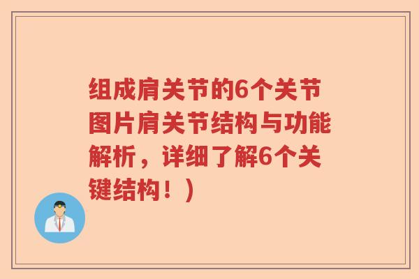 组成肩关节的6个关节图片肩关节结构与功能解析，详细了解6个关键结构！)