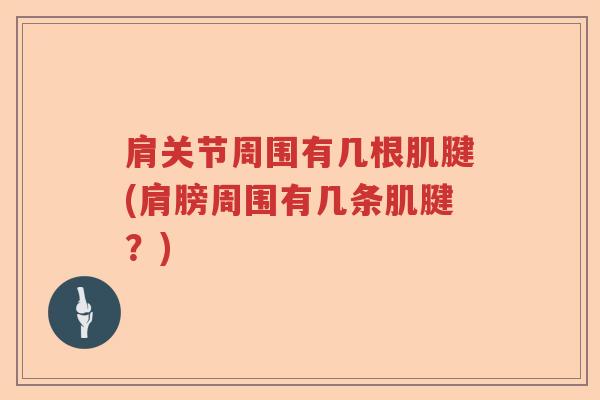 肩关节周围有几根肌腱(肩膀周围有几条肌腱?) 肩关节周围有几根肌腱(肩膀周围有几条肌腱?)