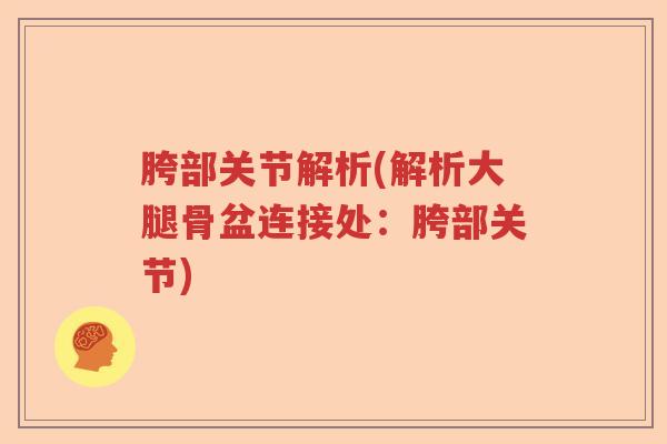 胯部关节解析(解析大腿骨盆连接处:胯部关节) 胯部关节解析(解析大腿骨盆连接处:胯部关节)