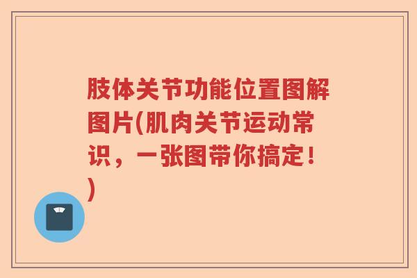 肢体关节功能位置图解图片(肌肉关节运动常识，一张图带你搞定！)